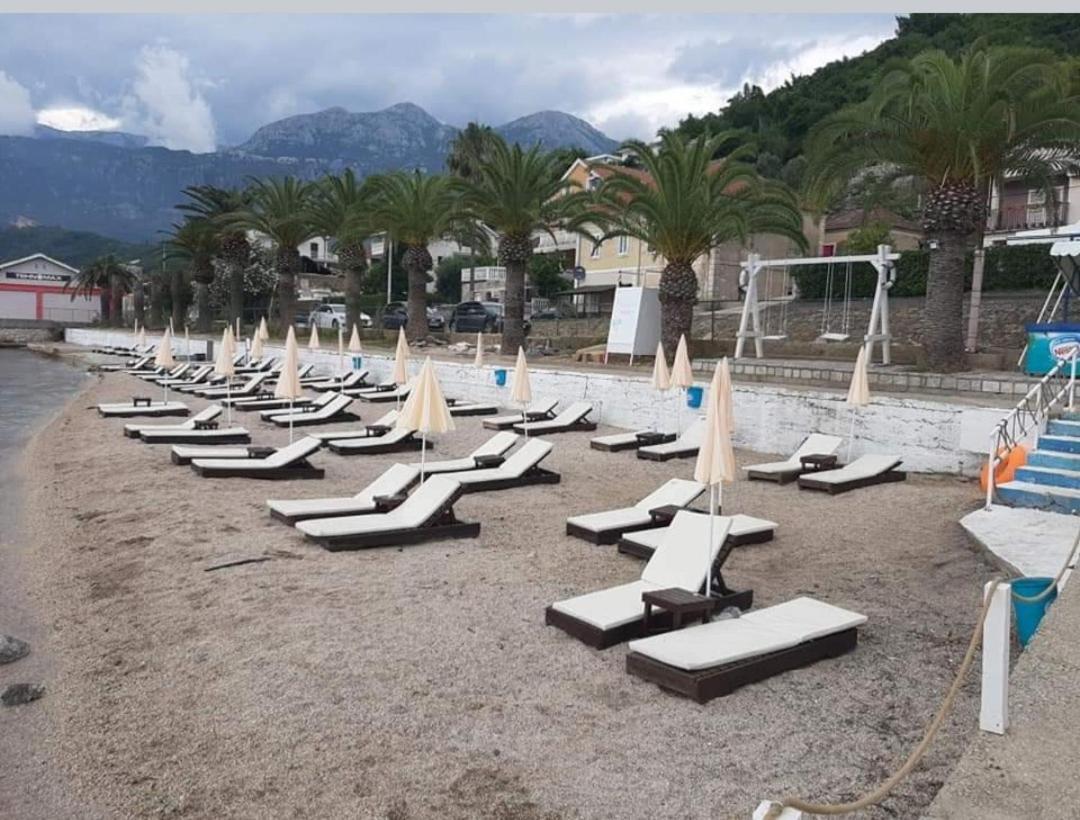 Apartman Aleksandar Aco Herceg Novi Exteriör bild